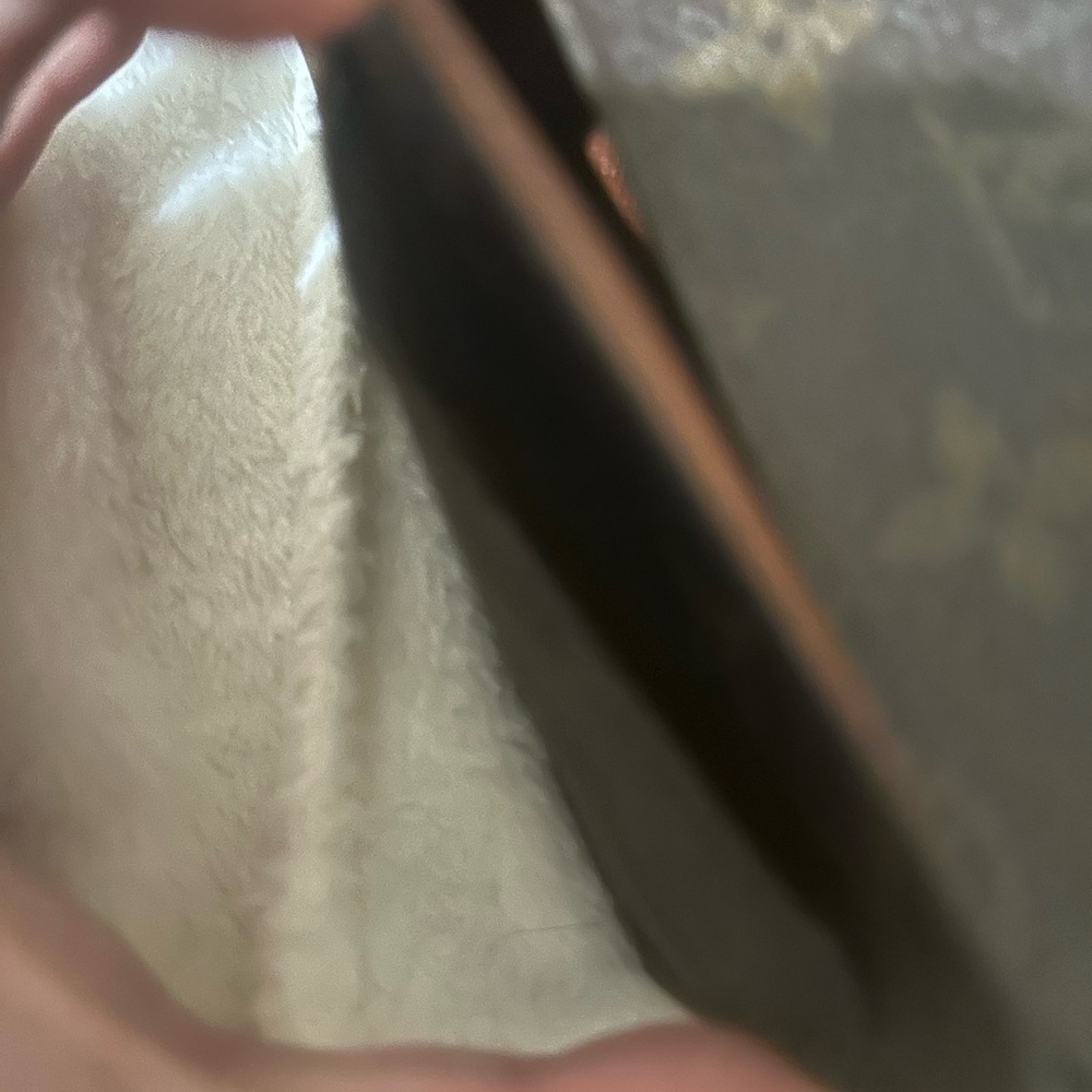 Louis Vuitton Brown Wallet - Picture 3 of 16